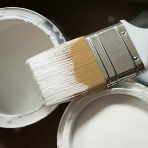Nos peintures
